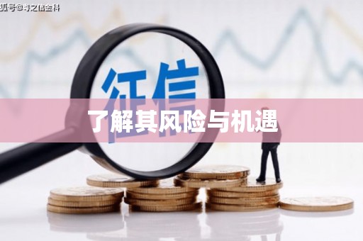 路北了解其风险与机遇