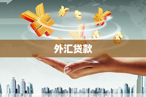 路北外汇贷款