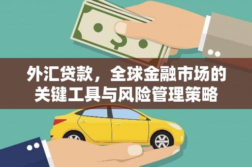 路北外汇贷款，全球金融市场的关键工具与风险管理策略