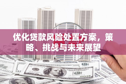 路北优化贷款风险处置方案，策略、挑战与未来展望