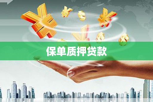 路北保单质押贷款