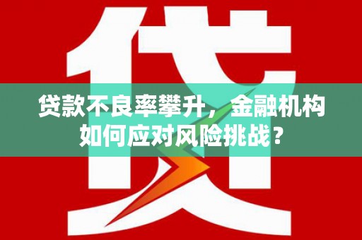 路北贷款不良率攀升，金融机构如何应对风险挑战？