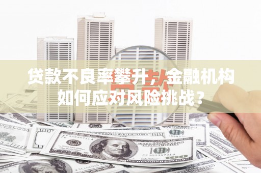 路北贷款不良率攀升，金融机构如何应对风险挑战？