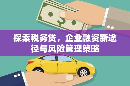 路北探索税务贷，企业融资新途径与风险管理策略