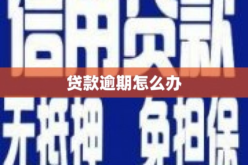 路北贷款逾期怎么办
