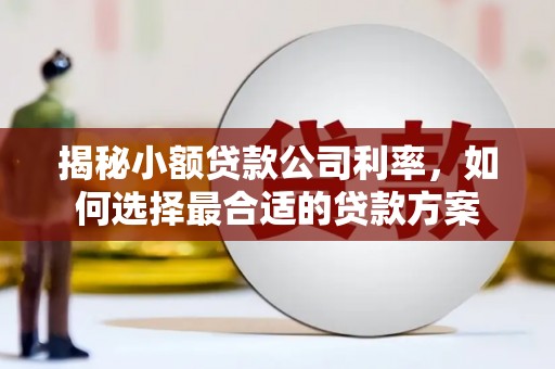 路北揭秘小额贷款公司利率，如何选择最合适的贷款方案
