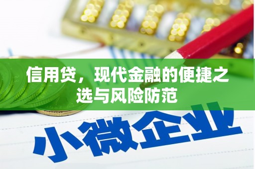 路北信用贷，现代金融的便捷之选与风险防范