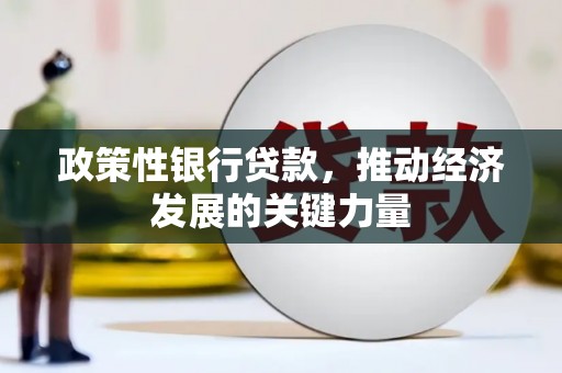 路北政策性银行贷款，推动经济发展的关键力量