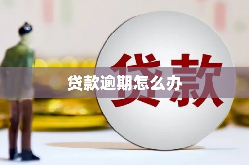 路北贷款逾期怎么办