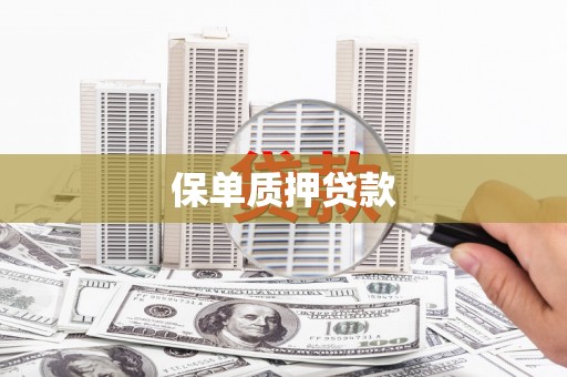 路北保单质押贷款