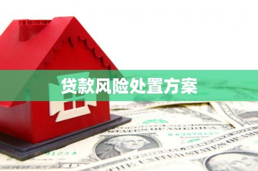 路北贷款风险处置方案