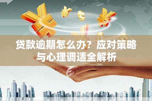 路北贷款逾期怎么办？应对策略与心理调适全解析