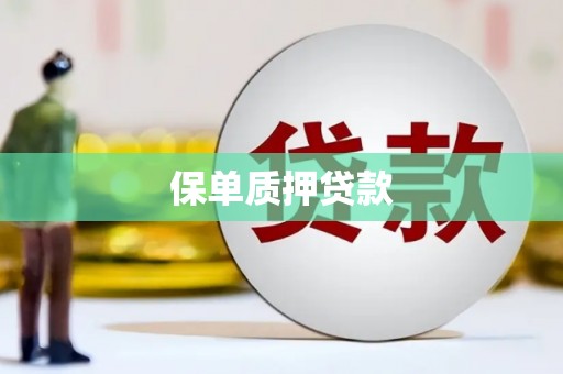 路北保单质押贷款