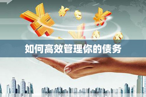 路北如何高效管理你的债务