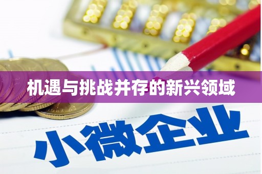路北机遇与挑战并存的新兴领域