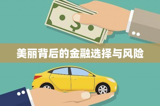 路北美丽背后的金融选择与风险