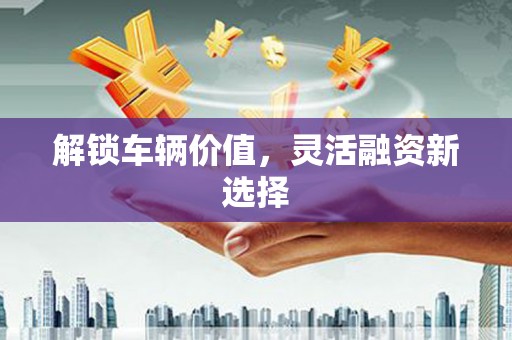 路北解锁车辆价值，灵活融资新选择